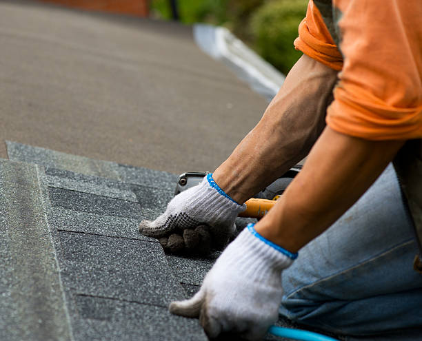 Best Shingle Roofing Installation  in Orland, CA